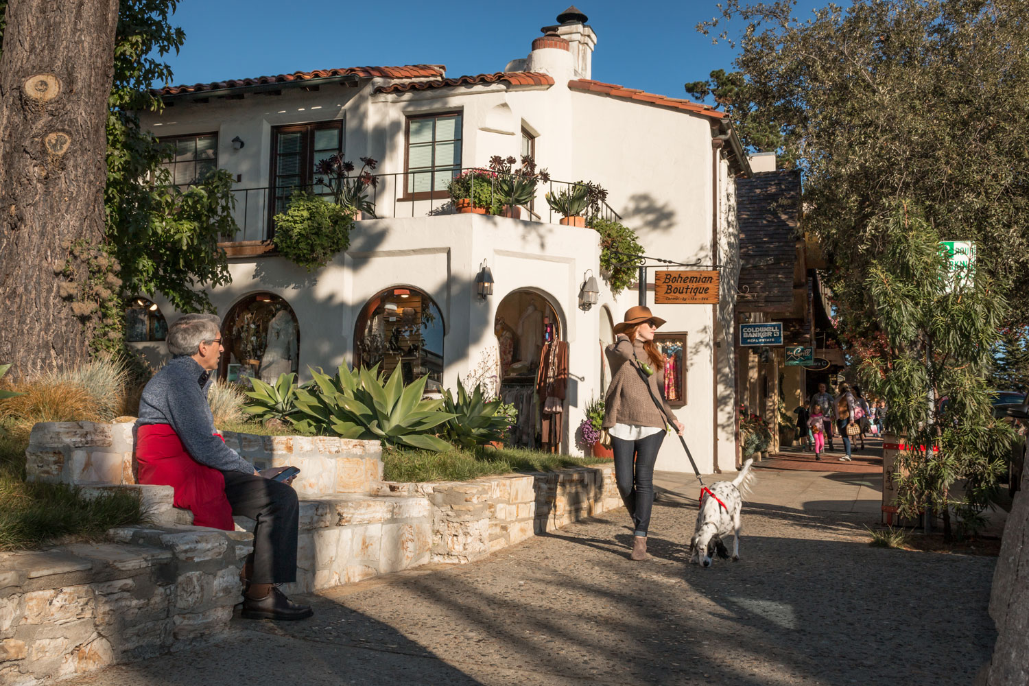 The Alluring Charm of Carmel-by-the-Sea