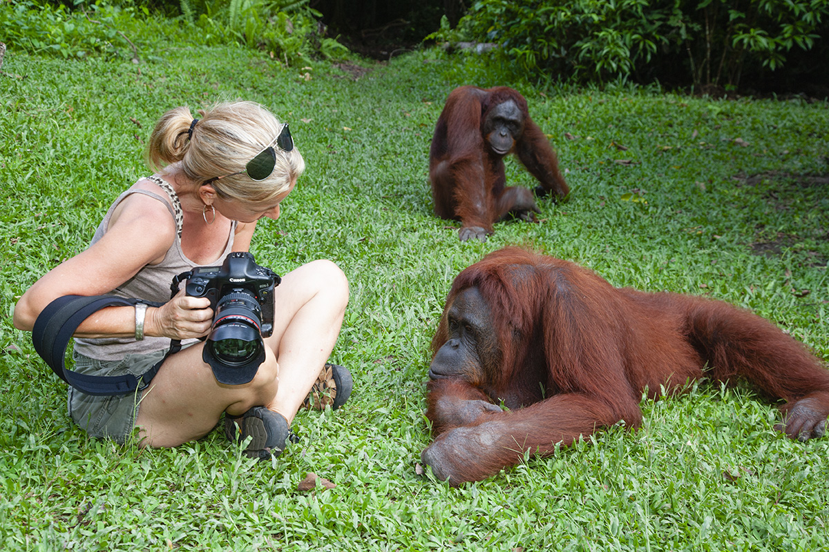 Wild Focus Expeditions, Indonesia, travel