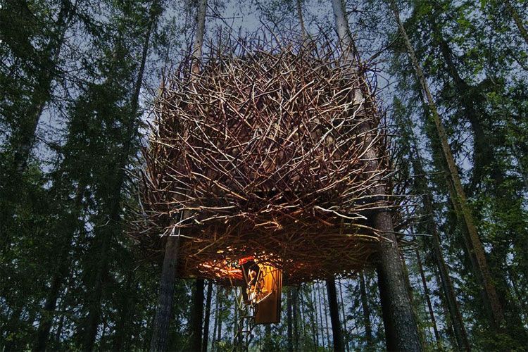 Treehotel