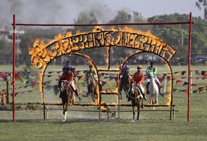 Horses crossing in fire