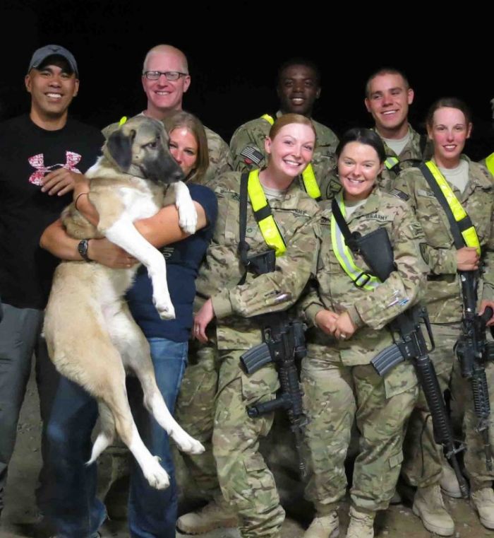 Guardians of Rescue Teams Up with Animal Aid USA to Help Save Soldiers