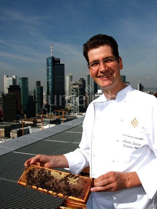 Chef Martin Steiner gathering the honey