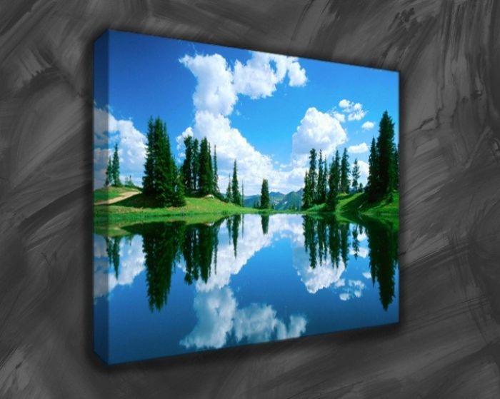 Nature on Canvas