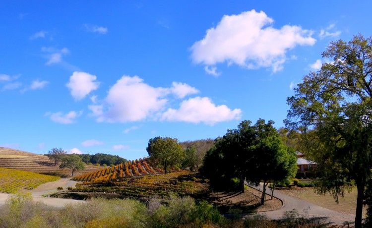 Paso Robles, the New Exciting Spot for Bordeaux Style Blends.
