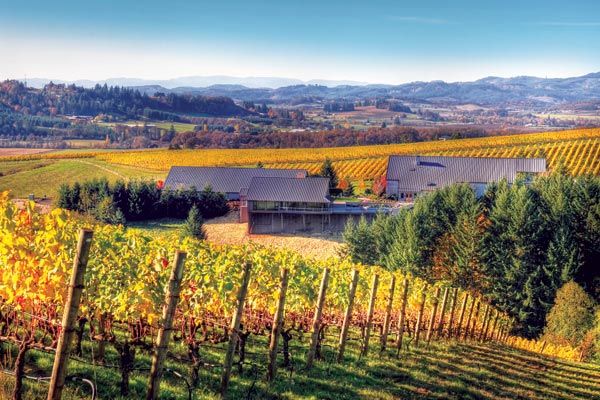 Oregon Travel: Wine Country - 1859 Oregon's Magazine