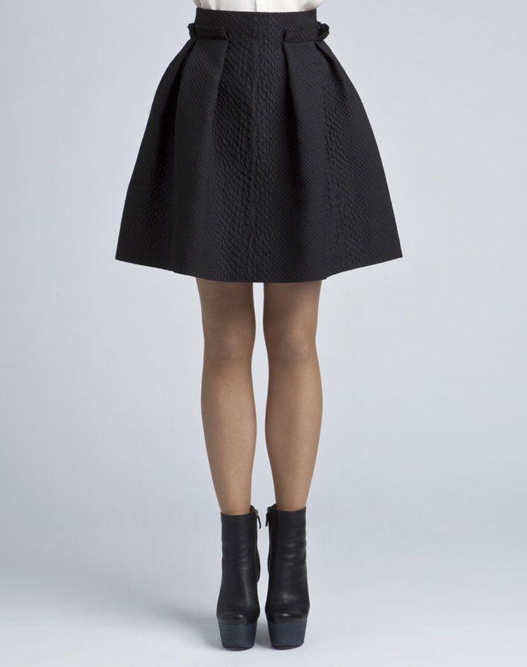 Lanvin Pleated Skirt