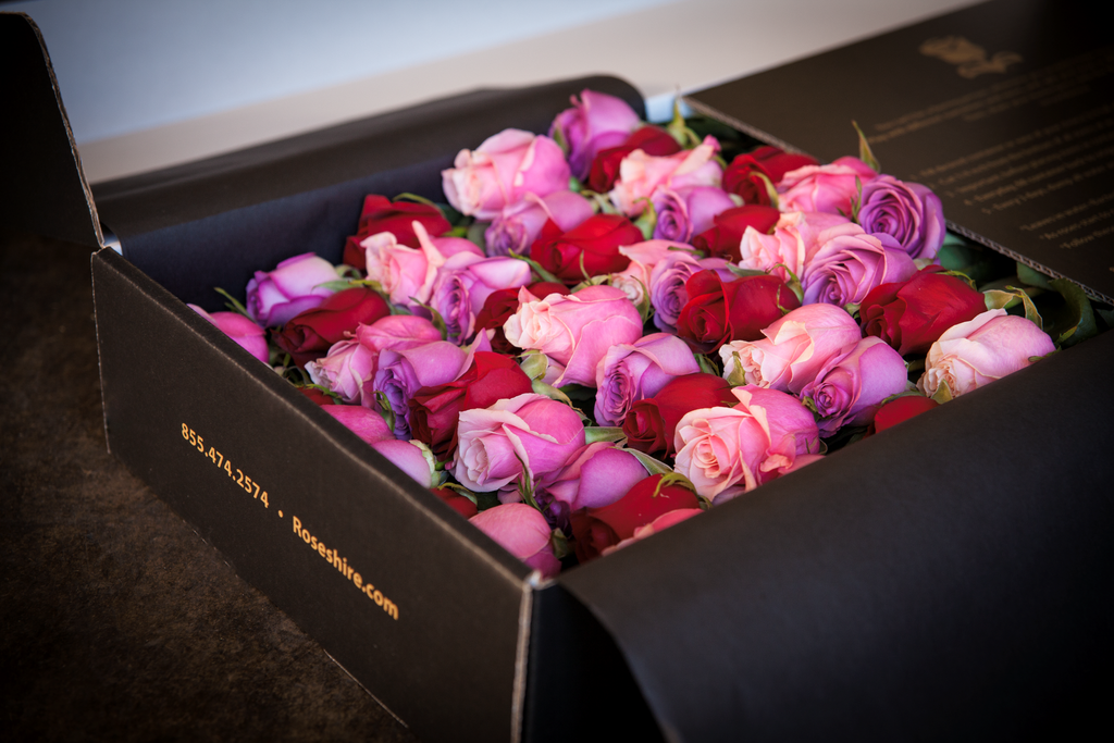 Are Roseshire Roses a Thing? This Luxe Flower Delivery Service