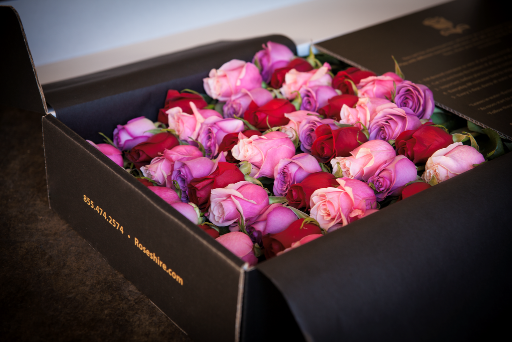 Roseshire, roses, flower delivery, valentine's day