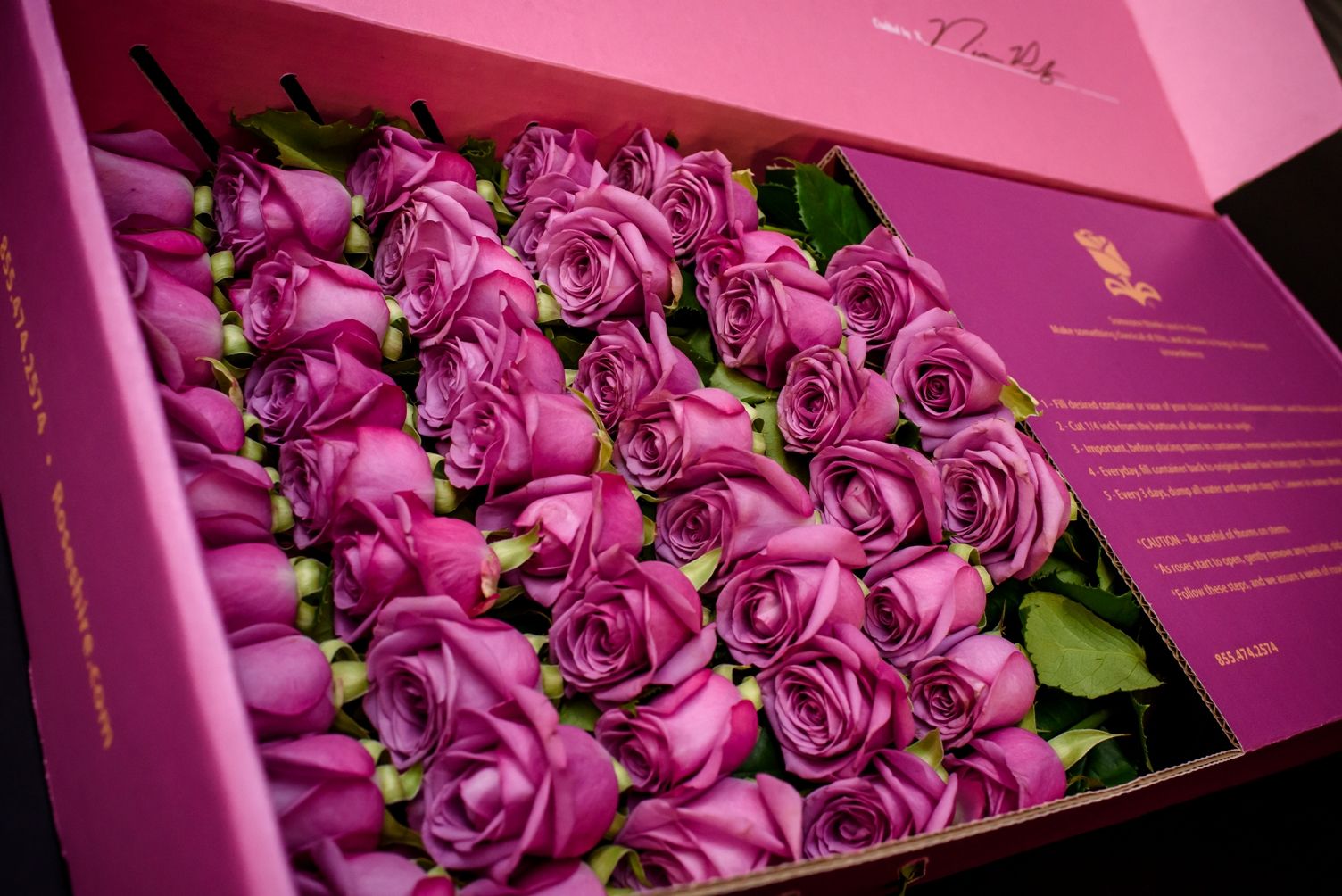 Are Roseshire Roses a Thing? This Luxe Flower Delivery Service