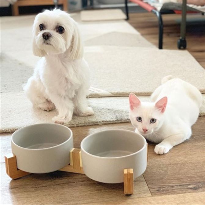 Nordic Flat Elevated cat Bowl , elevated dog bowl , Feeder , Dog