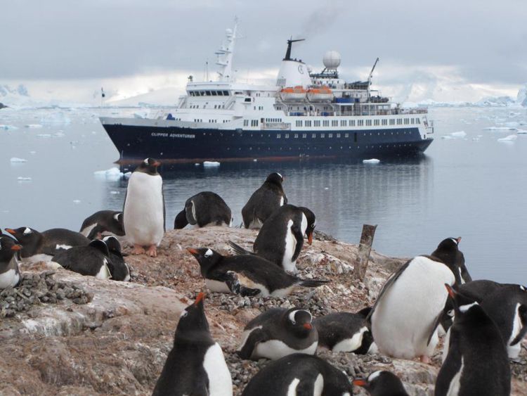 Be an Arctic Explorer on Kensington Tours' North Pole Expedition Cruise