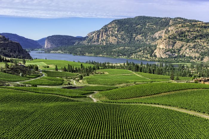 Enjoying a Weekend at the Okanagan Valley's Wineries