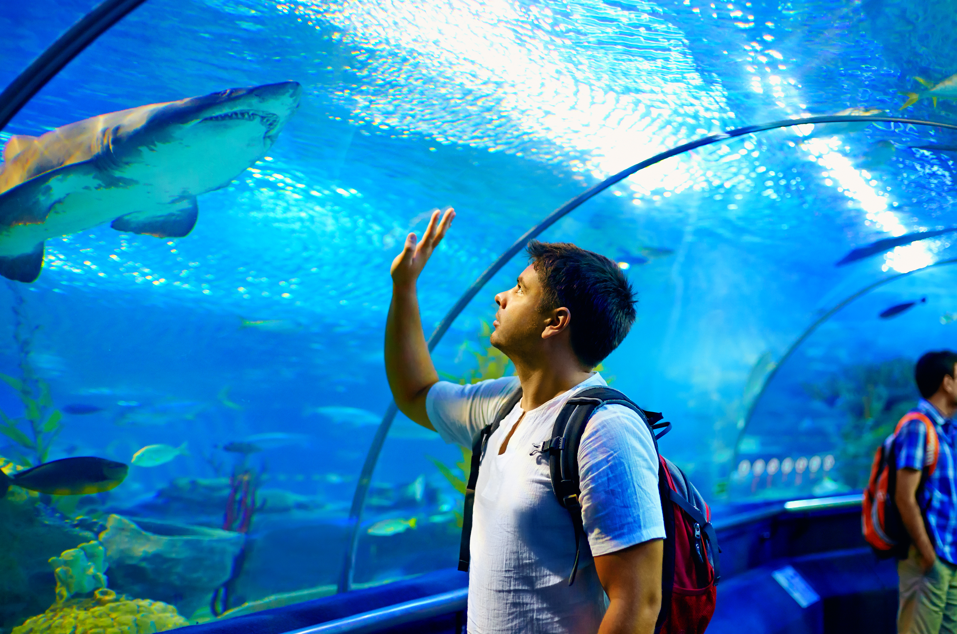 Shark Reef Aquarium at Mandalay Bay Resort in Las Vegas, Nevada